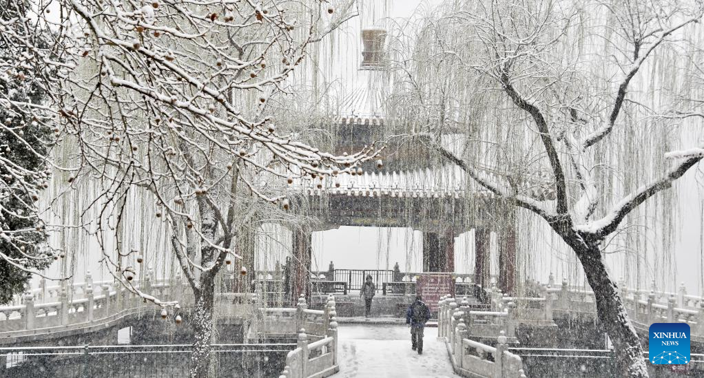 تصاویری دلنشین از همنشینی شکوفه‌های بهاری با برف زیبای پکن