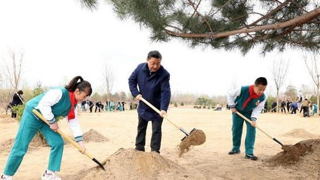 حضور شی جین پینگ در فعالیت درختکاری در پکن