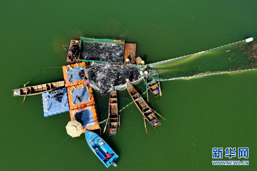 Baokang: Nelayan Sibuk Tangkap Ikan