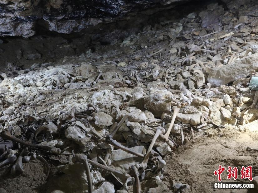 Tapak Arkeologi Beraltitud Tertinggi di China