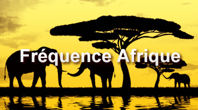 Fréquence Afrique Afr55
