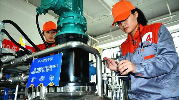 Realwirtschaft: Chinas Berufsausbildung läuft auf Hochtouren