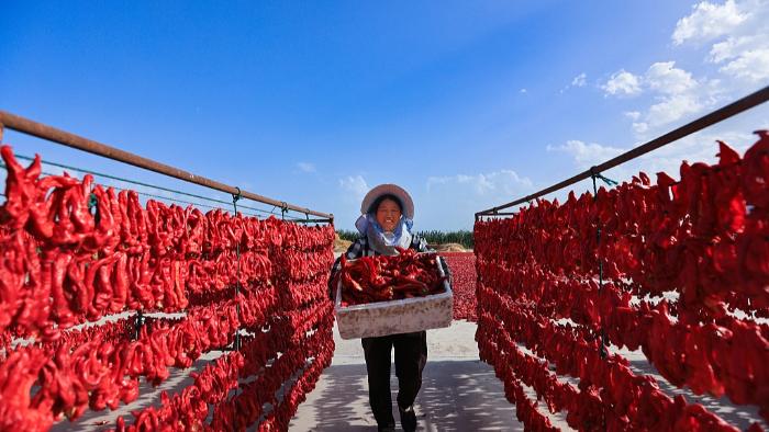 رهبر چین: باید به جای کپی‌برداری از مدل‌های خارجی کشاورزی مدرن در مسیر خودمان گام برداریما