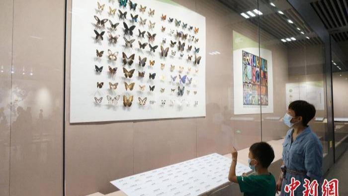 توسعه ساخت موزه‌ها و پارک‌ها در پکن طی سال جاری میلادیا