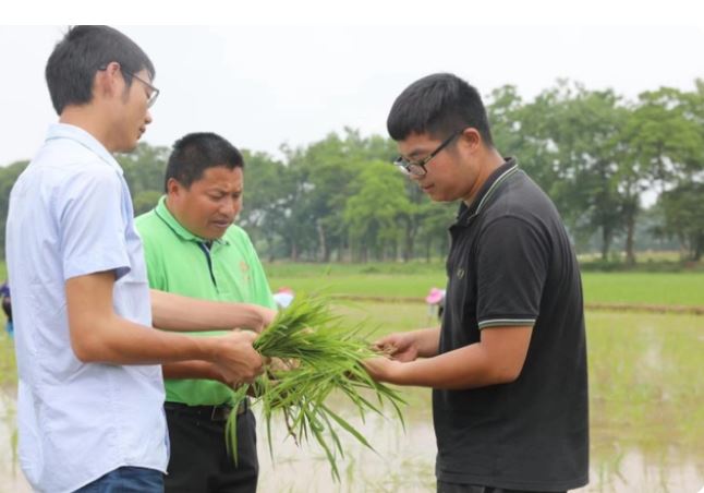 کشاورزان جوانی که رویای کار در شهر را به کاشت غلات در زادگاهشان ترجیح می‌دهندا