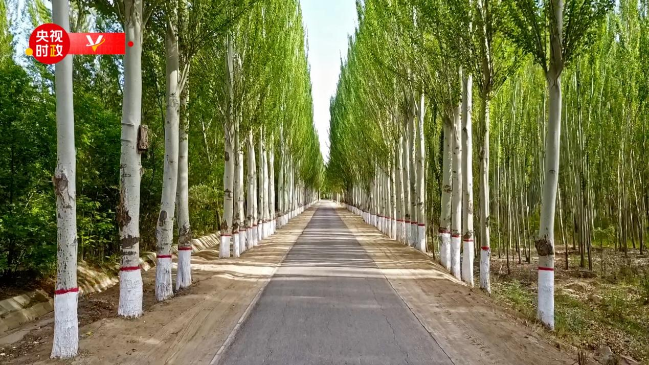 सी चिनफिङद्वारा पा यान नाउ अर शहरको लिनह क्षेत्रको सिन् व्हा नामक सरकारी स्वामित्वयुक्त वृक्ष फार्मको निरीक्षण