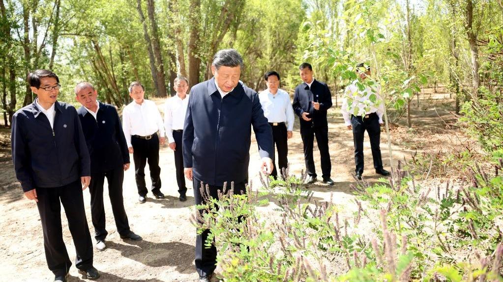 Xi Jinping, naglakbay-suri sa Inner Mongolia