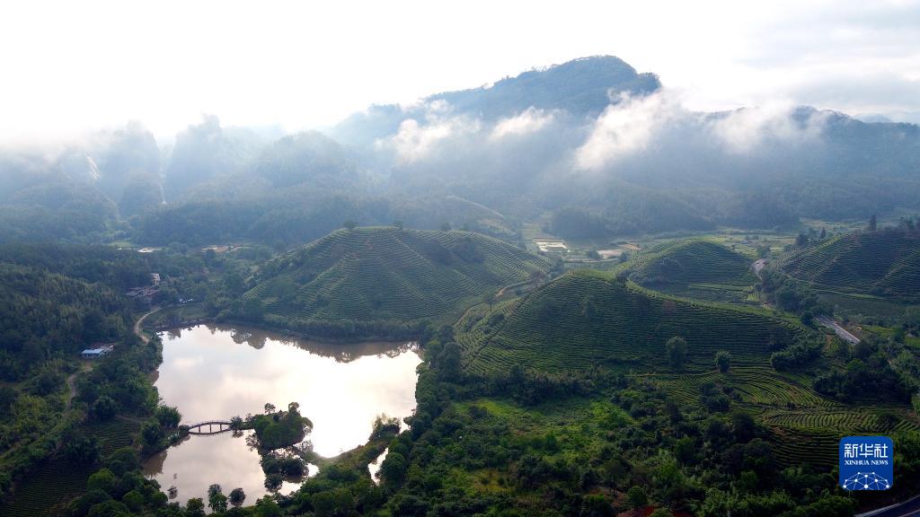 Perlindungan dan Pembangunan Ekologi di Gunung Wuyi
