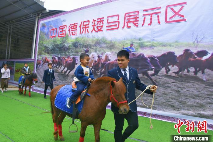 Kuda Kerdil Curi Tumpuan di Pesta Rakyat China-Vietnam