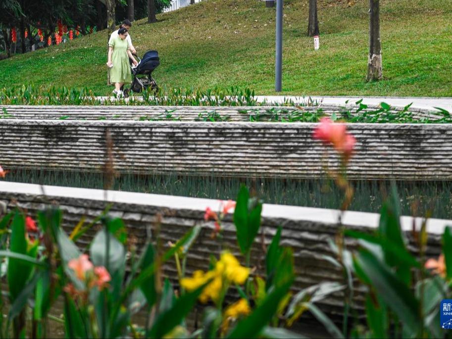 Kemekaran Bunga Indahkan Bandar Shenzhen