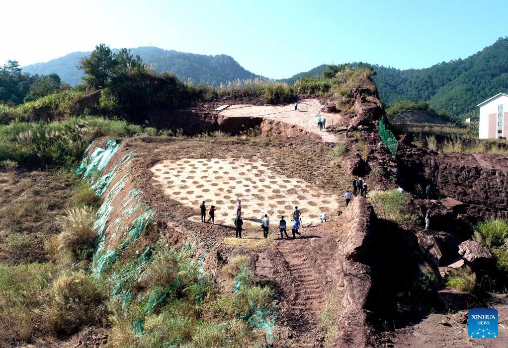 کشف ردپاهای دایناسور غول پیکر در استان «فوجیان»ا