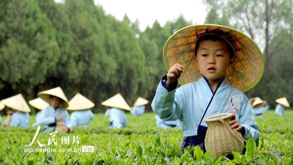 کودکان در باغ‌های چای