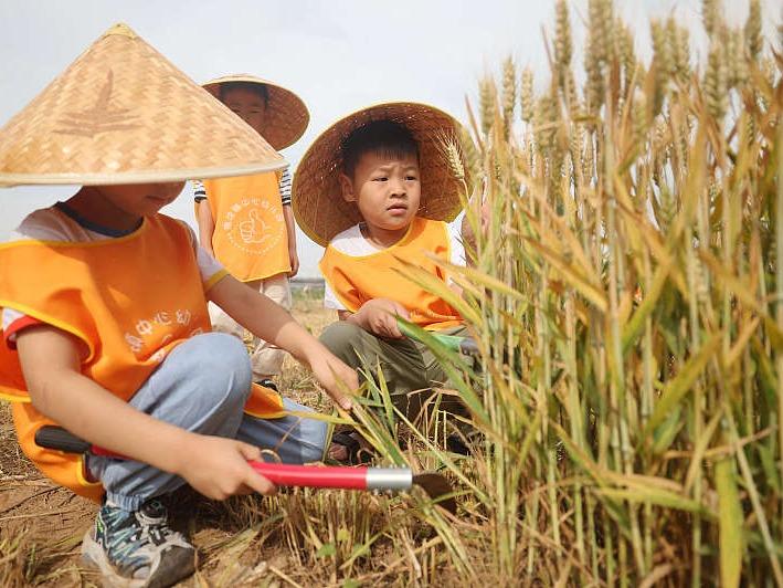 Kanak-kanak Menghayati Budaya Pertanian di Shandong