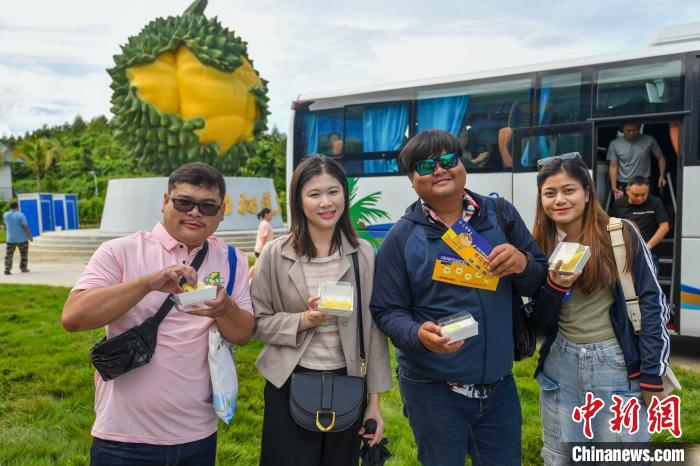 Pedagang ASEAN Kunjungi Pangkalan Penanaman Durian di Sanya