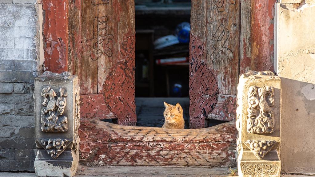 Bersiar-siar di Kawasan Hutong dalam Suasana Santai