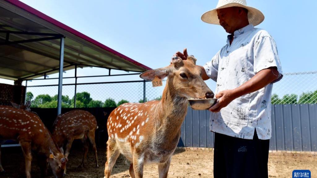 Shandong Berusaha Lonjak Pendapatan Petani dengan Pelbagai Saluran