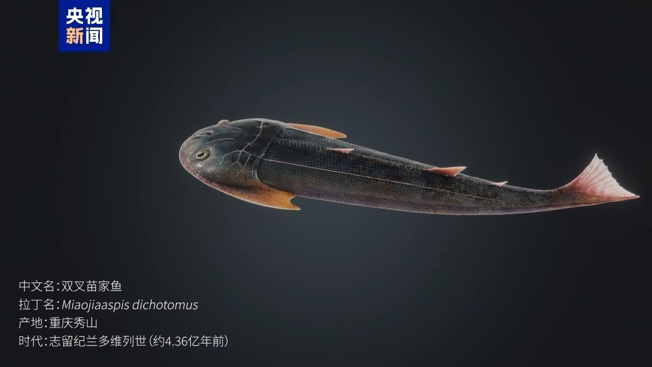 2024091215492918111.jpg