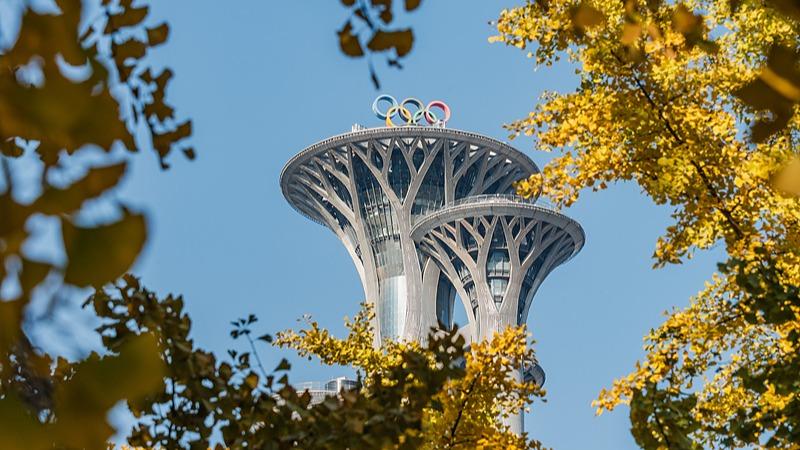 Dedaun Gingko Hiasi Menara Olimpik