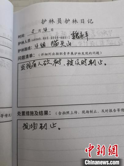 Das Förster-Tagebuch von Wei Yongping