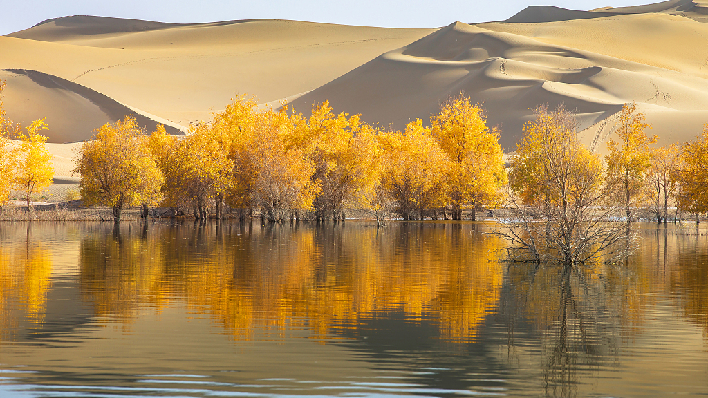 Pamje nga Xinjiang(Foto:VCG)
