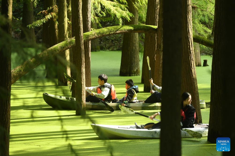 Τουρίστες κωπηλατούν σε ένα βυθισμένο δάσος στην ελκυστική τοποθεσία της λίμνης Τσινγκσάν στην περιοχή Λιν’αν της πόλης Χανγκτζόου, στην επαρχία Τζετζιάνγκ της ανατολικής Κίνας, 22 Οκτωβρίου 2023.