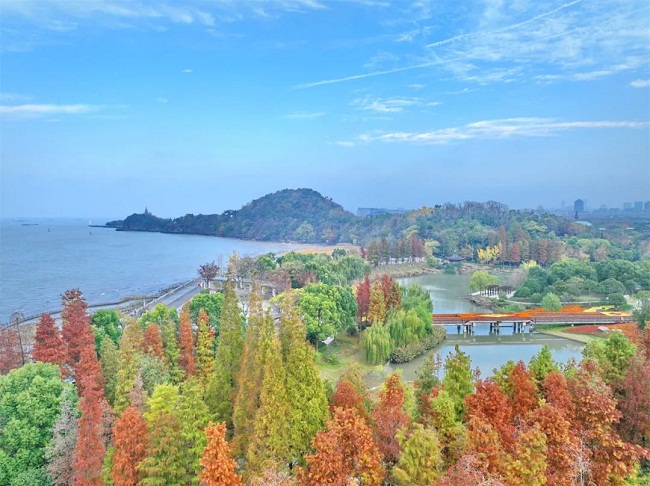 Η περιοχή κατά μήκος του ποταμού Γιανγκτσέ στο Ναντόνγκ είναι καλυμμένη με πράσινο. [Φωτογραφία/Nantong Daily]