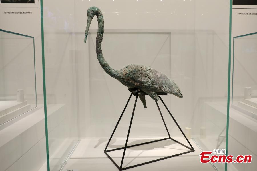 Χάλκινο υδρόβιο πουλί που ανασκάφηκε στο λάκκο K0007 του Μαυσωλείου Τσινγκσιχουάνγκ εκτίθεται στο Μουσείο του Μαυσωλείου του Αυτοκράτορα Τσινσιχουάνγκ στο Σι’αν, στην επαρχία Σαανσί της βορειοδυτικής Κίνας, 31 Ιανουαρίου 2024 (Φωτογραφία: China News Service/Zhang Yuan)