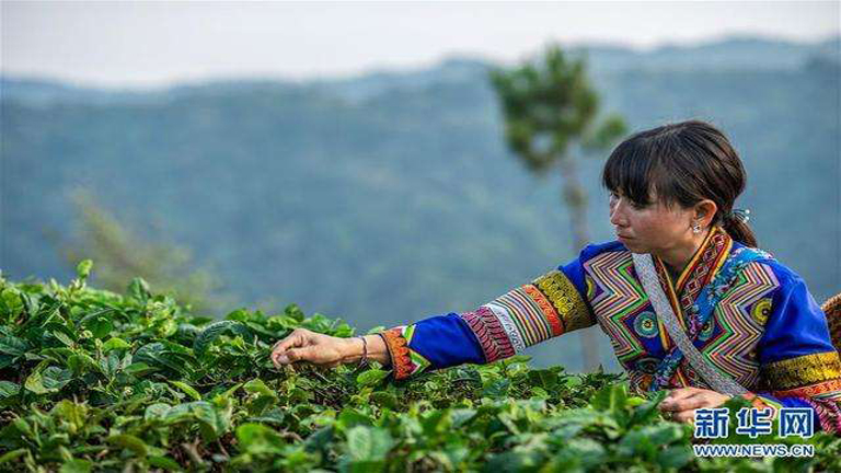 Avcılık hayatına veda eden Lahu kadını