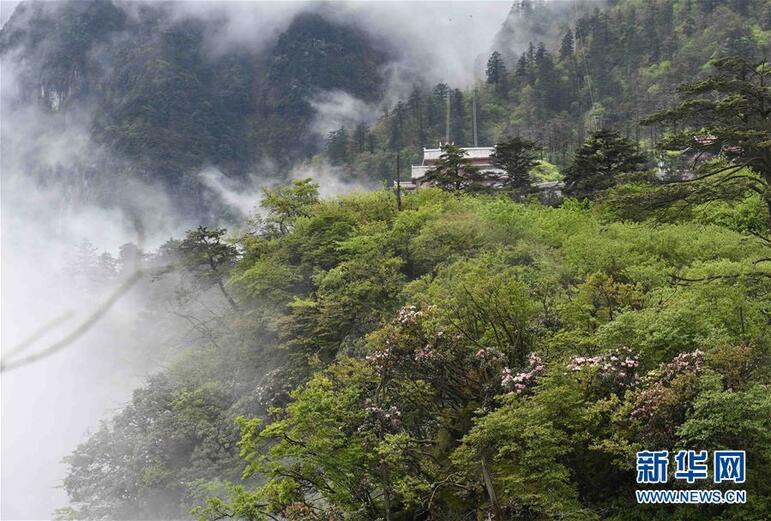 Hem doğal hem kültürel bir miras: Emei Dağı
