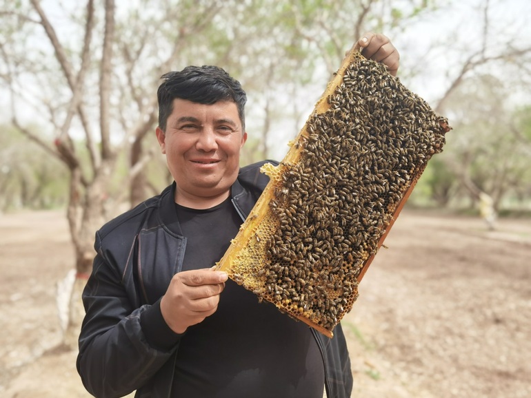 Xinjiang’da arı yetiştiriciliğiyle gelen tatlı hayatlar_fororder_2
