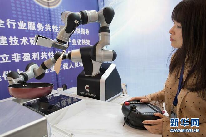 Ika-6 na China Robot and Intelligent Economic Talents Summit, binuksan_fororder_1124472455_15573874271141n
