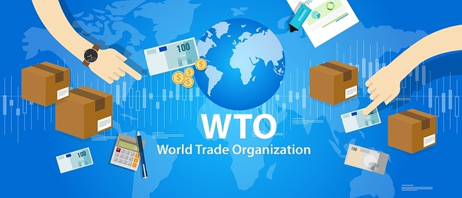 Proposal ng WTO sa intellectual property protection waiver ng bakuna kontra COVID-19, sinimulan ang konsultasyon; Tsina suportado ito_fororder_wto