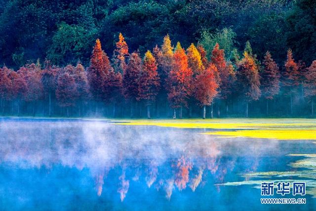 Çin’deki en güzel 10 su ladini ormanı_fororder_1e30e924b899a9012edf4333eeb7917c0308f5f3
