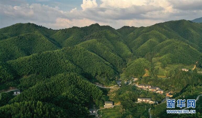 Jinggangshan Dağı’nda unutulmaz yolculuk_fororder_WechatIMG293