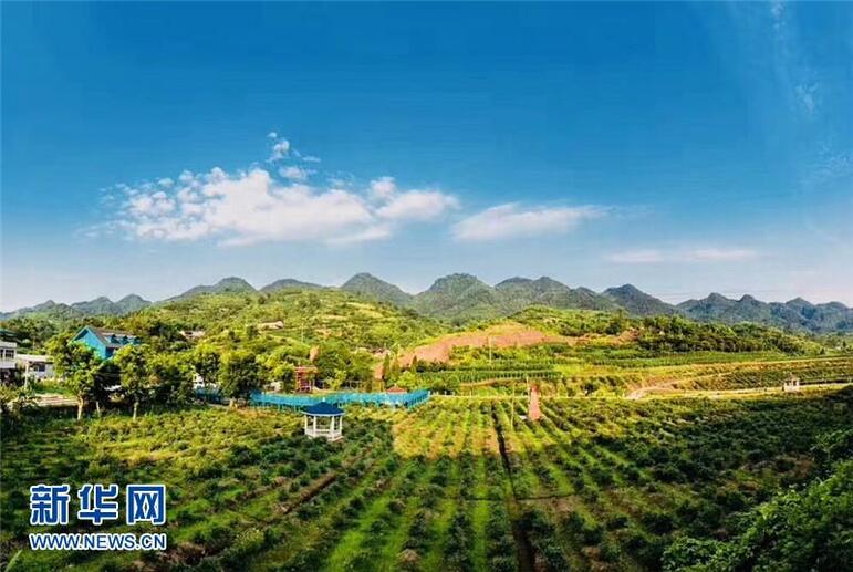 Çin’de köy turizmi hızla gelişiyor_fororder_src=http___www.cq.xinhuanet.com_2019-05_17_1124509753_15580928795321n&refer=http___www.cq.xinhuanet