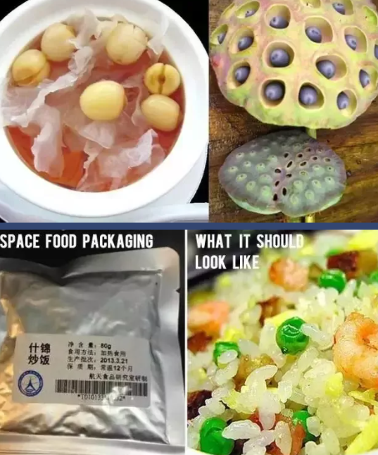 Çin’in uzay gıdalarının evrimi_fororder_4
