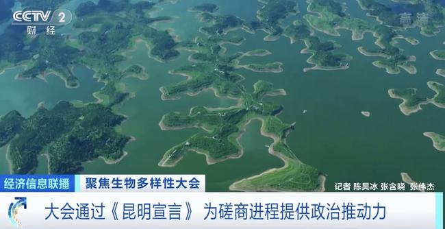 Kunming Deklarasyonu küresel çevre yönetişimine dinamizm kattı_fororder_src=http___nimg.ws.126.net__url=http%3A%2F%2Fdingyue.ws.126.net%2F2021%2F1013%2Fd1a57191j00r0xanu003wc000wk00gqg&thumbnail=650x2147483647&quality=80&type=jpg&refer=http___nimg.ws.126