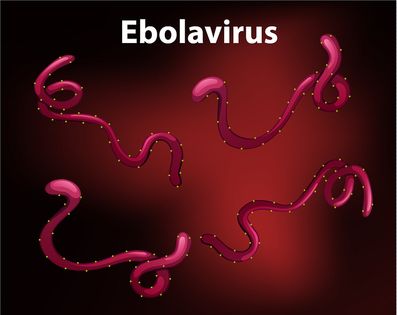 DRC yaripoti kesi tatu mpya za Ebola_fororder_VCG211240254601