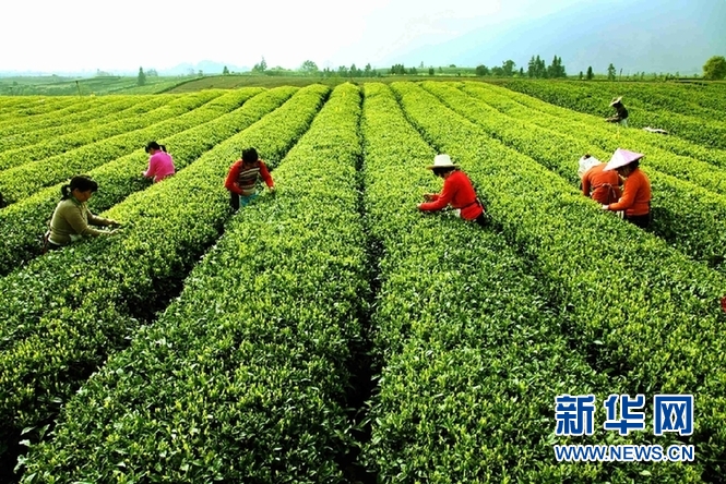 Hangzhou'daki Çay Müzesi'nde leziz bir serüven_fororder_1210100272_15550328468191n