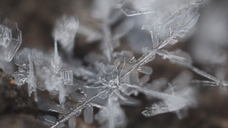Jilin’de kar altında bir saf rüya_fororder_buz cicek