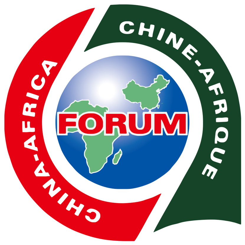Quan chức và học giả nhiều nước châu Phi:  Mong Hội nghị Dakar thúc đẩy hợp tác châu Phi - Trung Quốc bước lên tầm cao mới_fororder_33