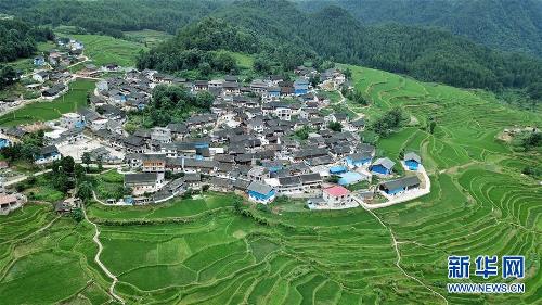 Hagdan-hagdang palayan ng Gaoyao sa Guizhou, maganda sa tag-init