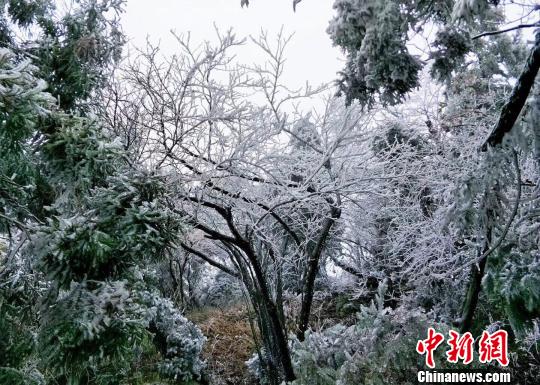 Mount Hengshan sa Lalawigang Hunan ng Tsina, sinalubong ang unang rime sa kasalukuyang taon