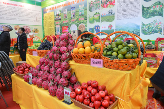 Guangxi, nagkaloob ng pagsasanay ng teknolohiyang agrikultural sa mahigit 2,000 tauhan ng ASEAN
