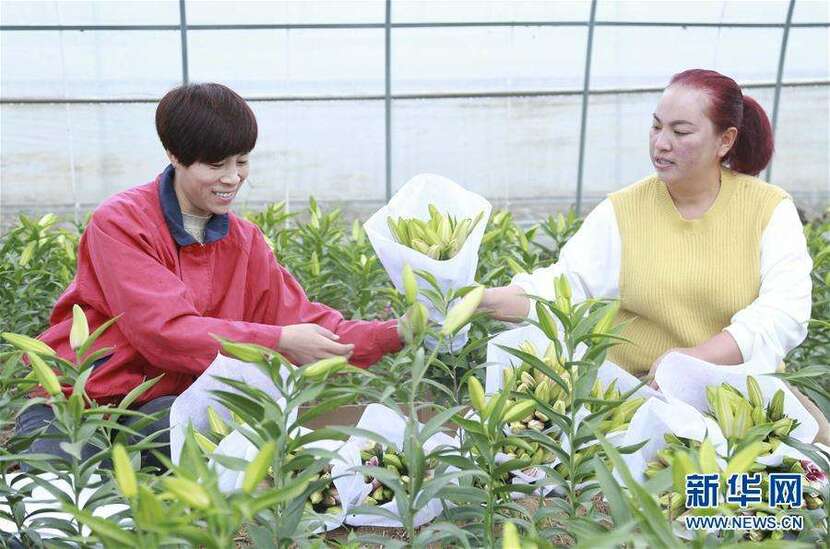 Học giả Việt Nam khen ngợi Trung Quốc đã thực hiện nhiều biện pháp để tăng thu nhập cho bà con nông dân_fororder_src=http___www.cnr.cn_hebei_tpxw_20191017_W020191017348034446305&refer=http___www.cnr