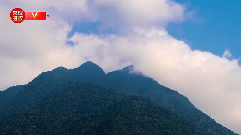 Xi Jinping, Hainan Tropikal Yağmur Ormanları Ulusal Parkı’nı ziyaret etti_fororder_wuzhishan