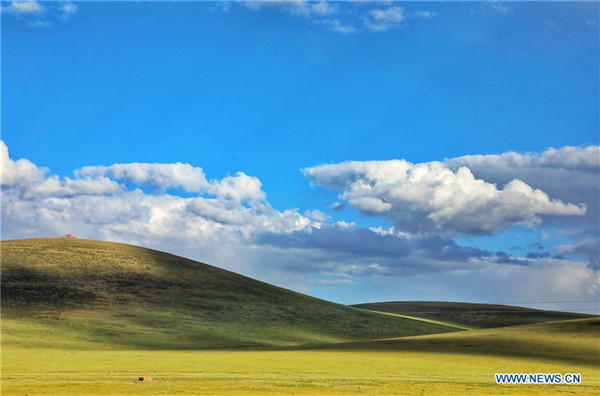 Maiilap na hayop sa Jiatang Grassland, Qinghai, Tsina