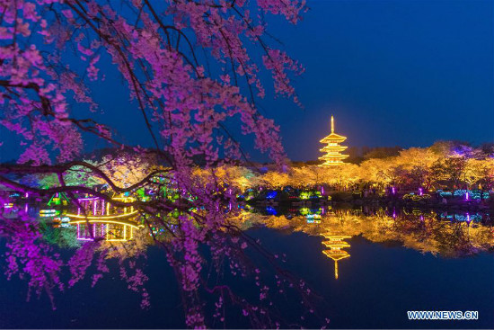 Cherry blossoms sa East Lake ng Wuhan, Lalawigang Hubei
