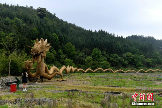 Pinakamalaking dragon na yari sa dayami, itinatanghal sa Fujian