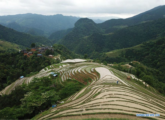 Tanawin ng hagdan-hagdang palayan sa Miao ethnic village sa Lalawigang Guizhou